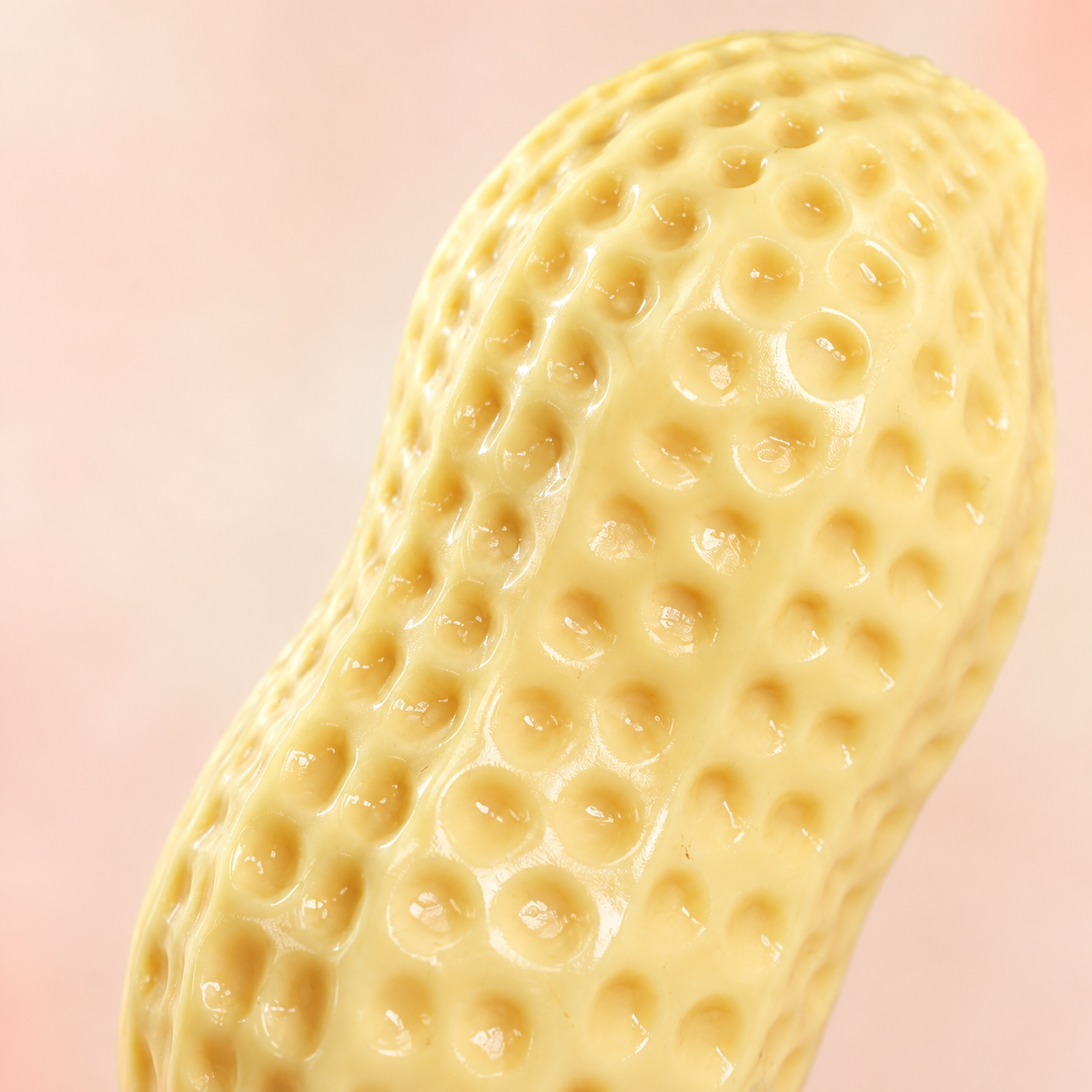 HeyJudee x Tongle Peanut Squishy