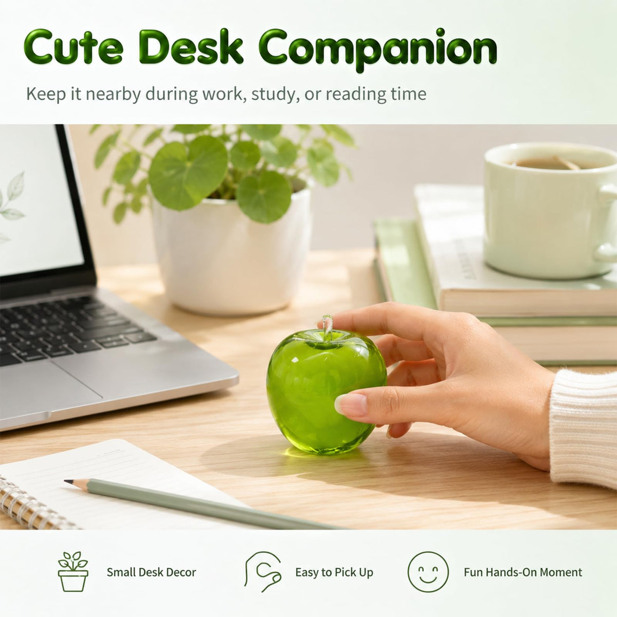 HeyJudee x Tongle Apple Coconut Oil Squishy